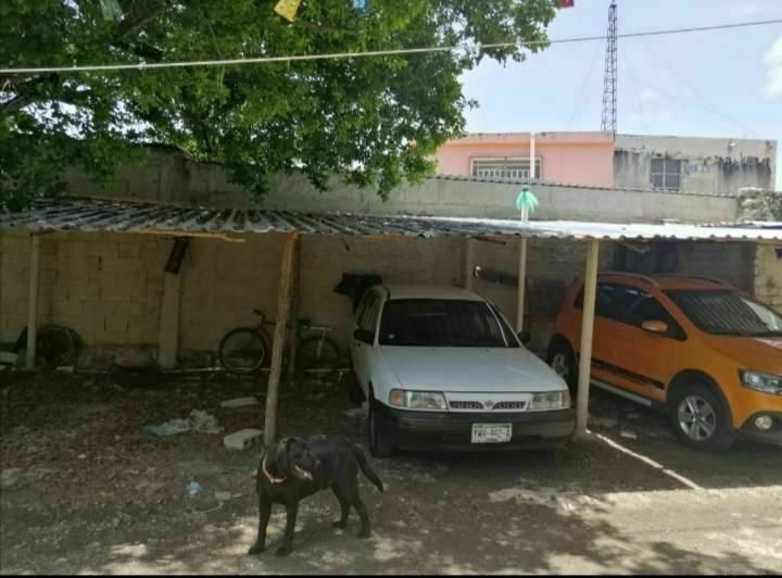 9 de 20