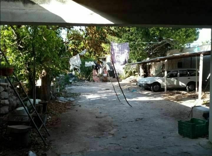 7 de 20
