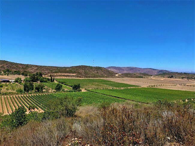 Terreno en venta en Chichihuas de 3,490 m2-Valle de Guadalupe