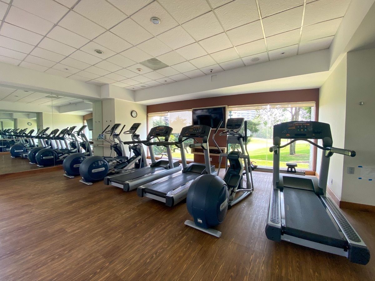 Gimnasio Torre Olivo, foto 29 de 38