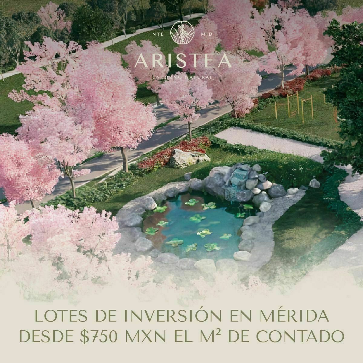3 de 5