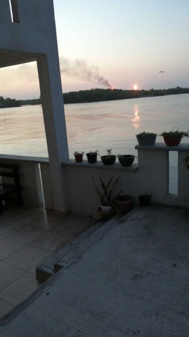 2 de 11