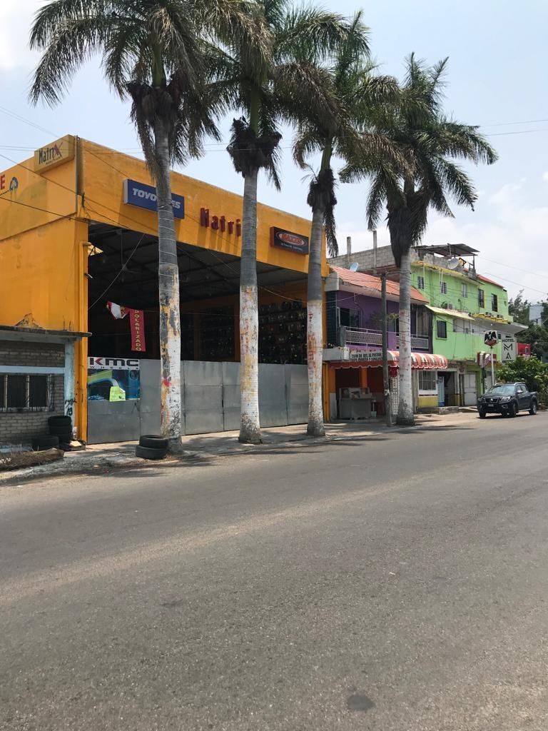 1 de 6