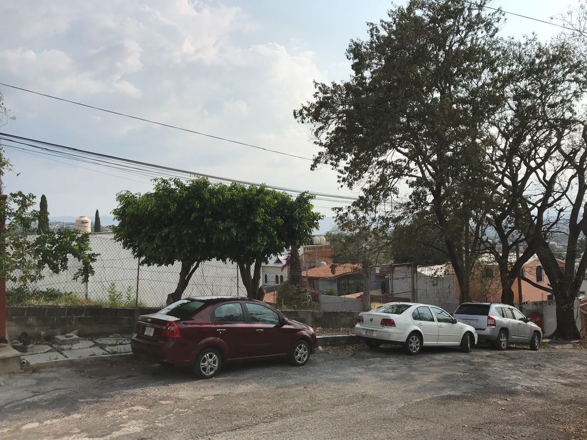 11 de 11