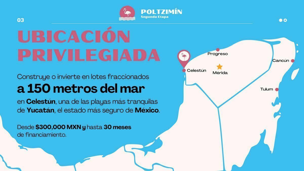 3 de 13