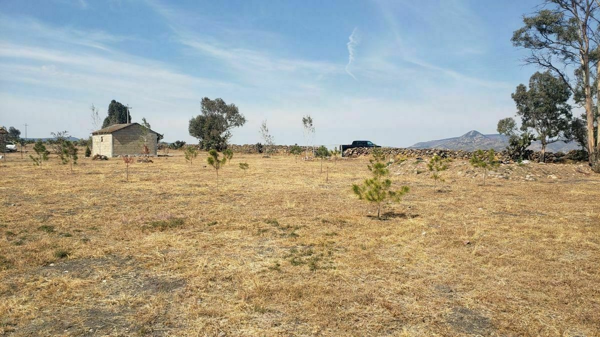 TERRENO EN VENTA EL PINO DE AMEALCO QUERETARO