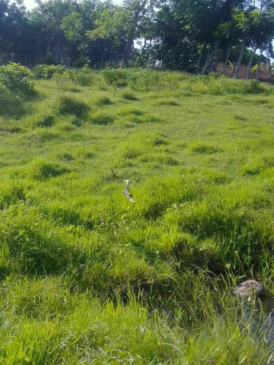 3 de 5
