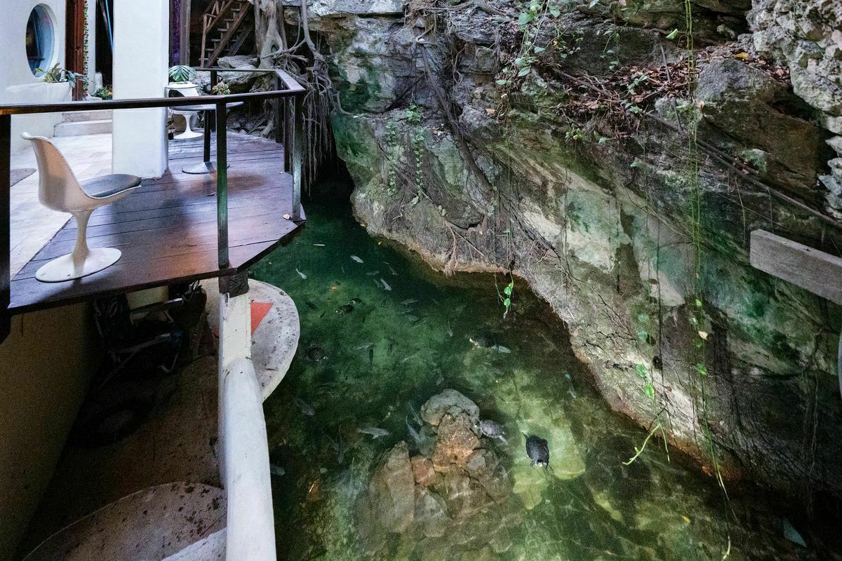 25 of 34: The Sacbe private cenote with fish and turtles