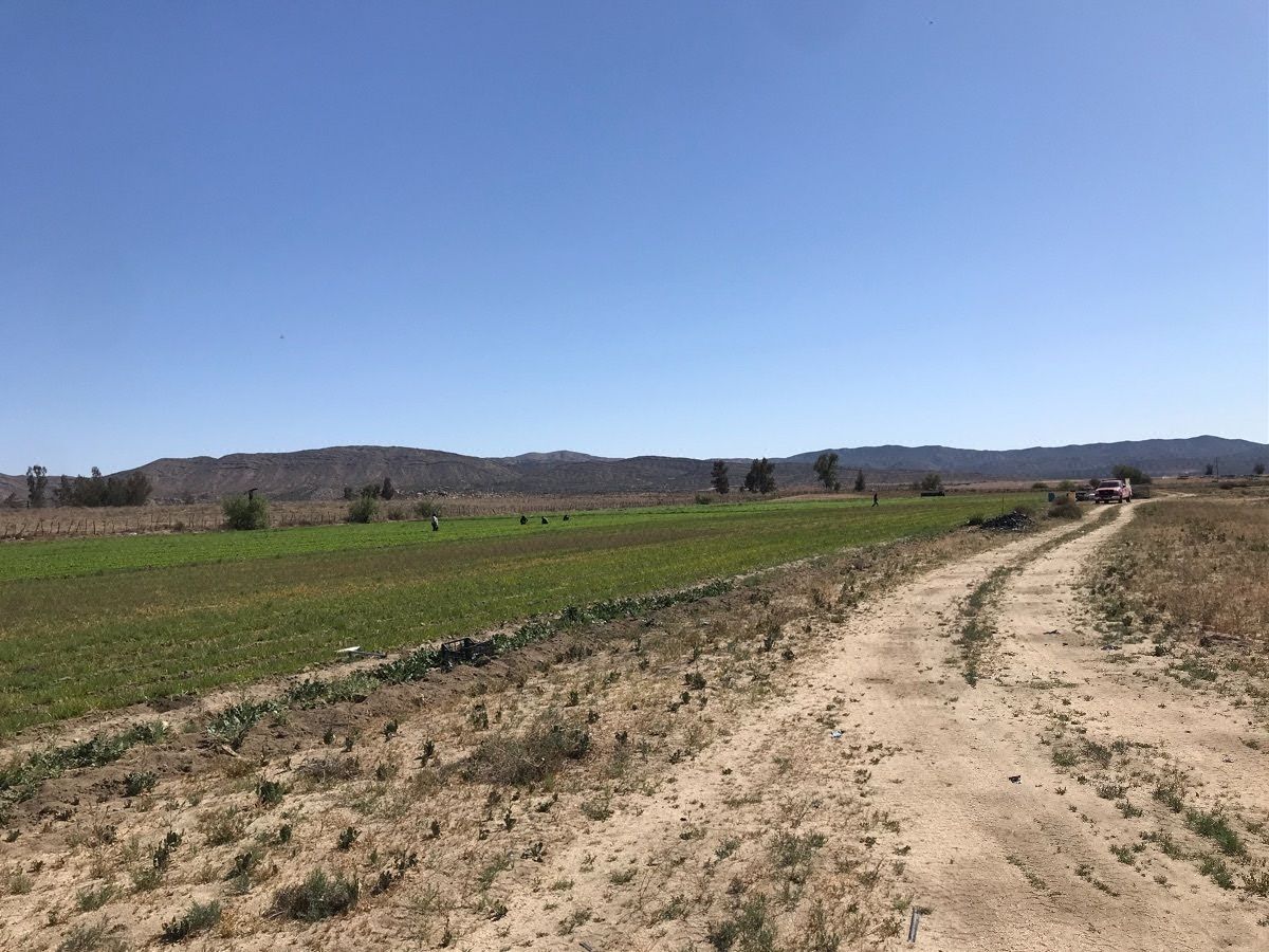 Venta de 29 Hectareas para Siembra en Valle de Ojos Negros