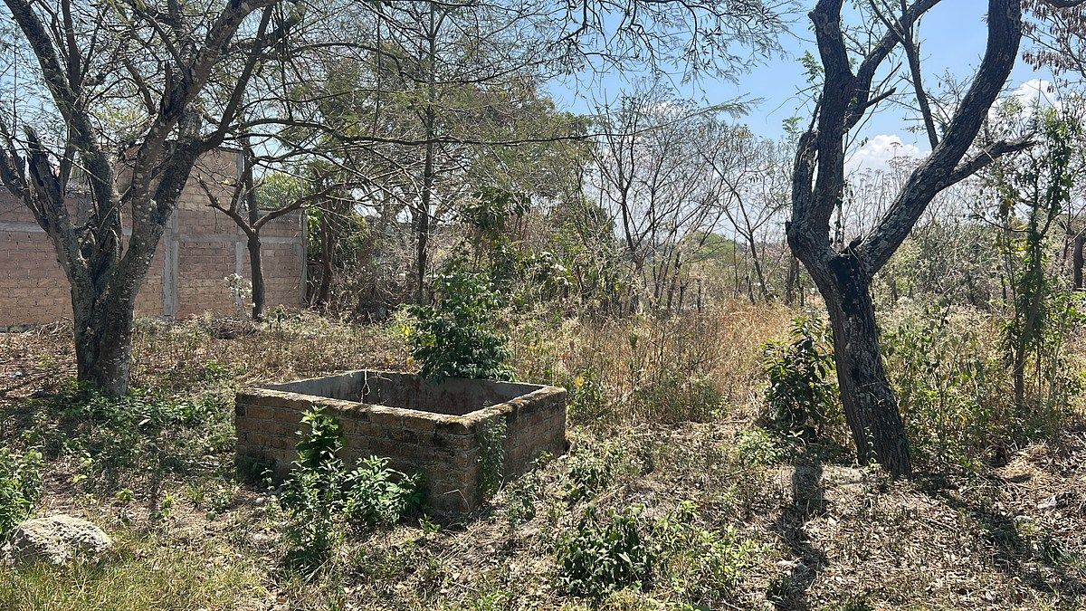 Terreno a la venta en Berriozabal, uso habitacional con todos los servicios! - foto 2