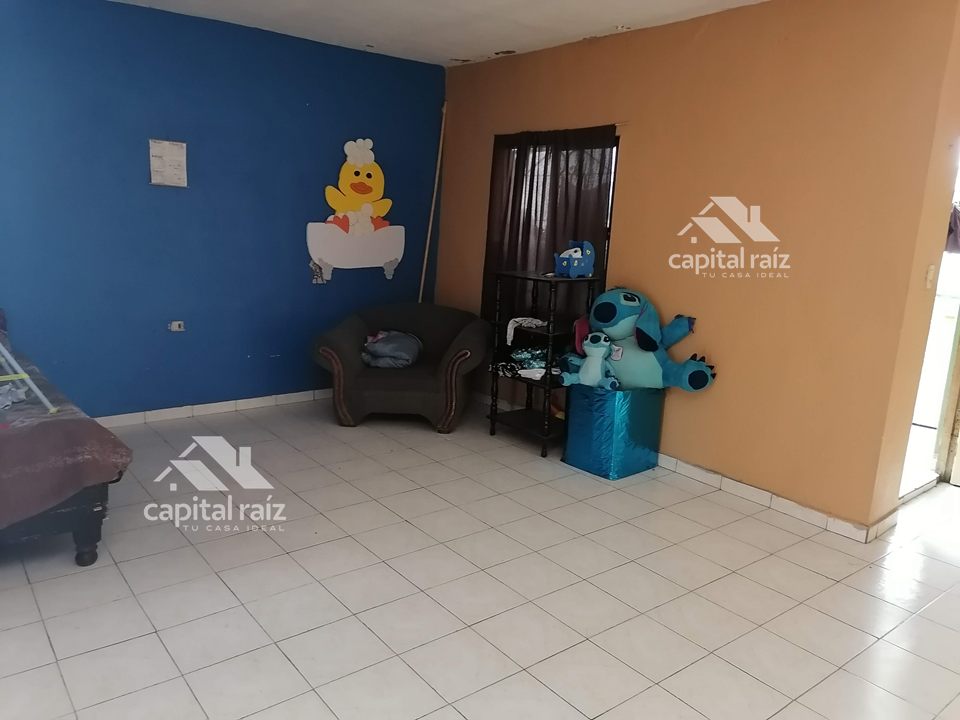 17 de 24