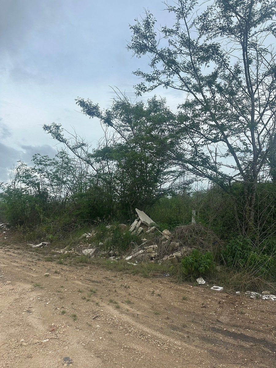 Terreno en Temozón Norte, Mérida, foto 2 de 3