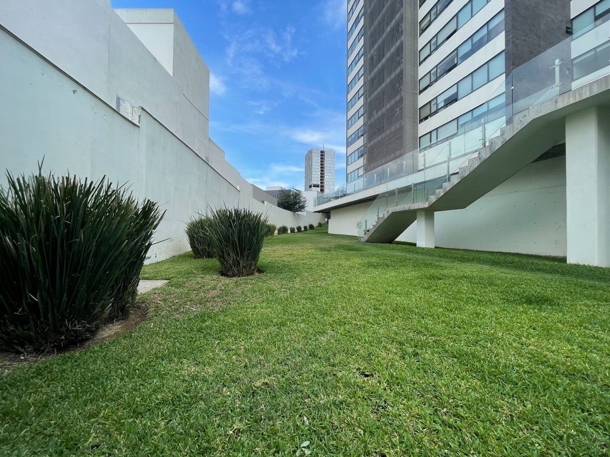 21 de 33: Jardín muy grande