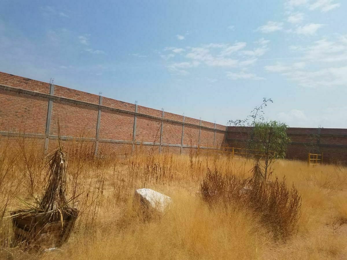 Terreno en El Rayo, Pabellón de Arteaga, foto 5 de 15