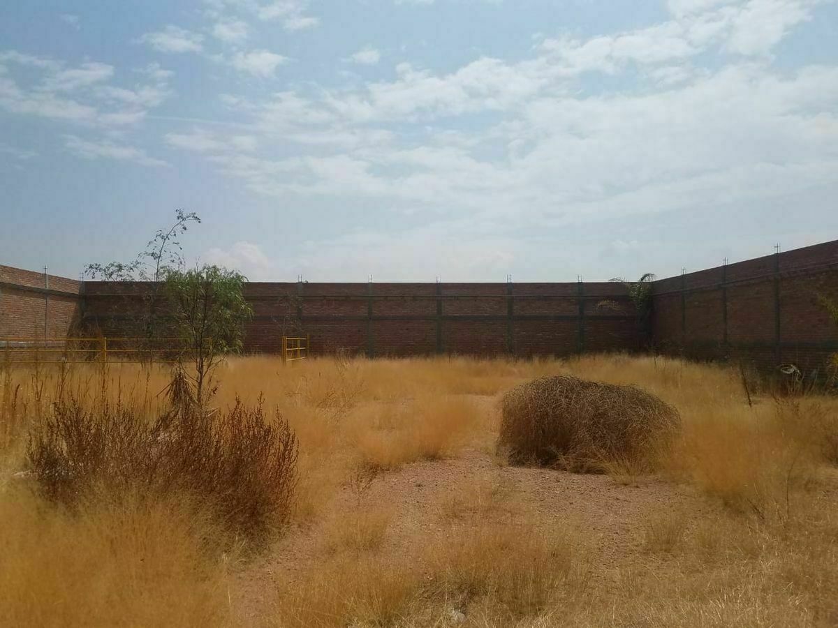 Terreno en El Rayo, Pabellón de Arteaga, foto 7 de 15