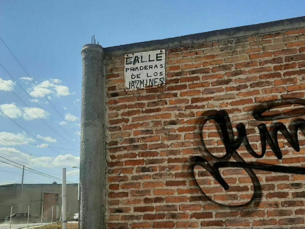 4 de 6: Calle