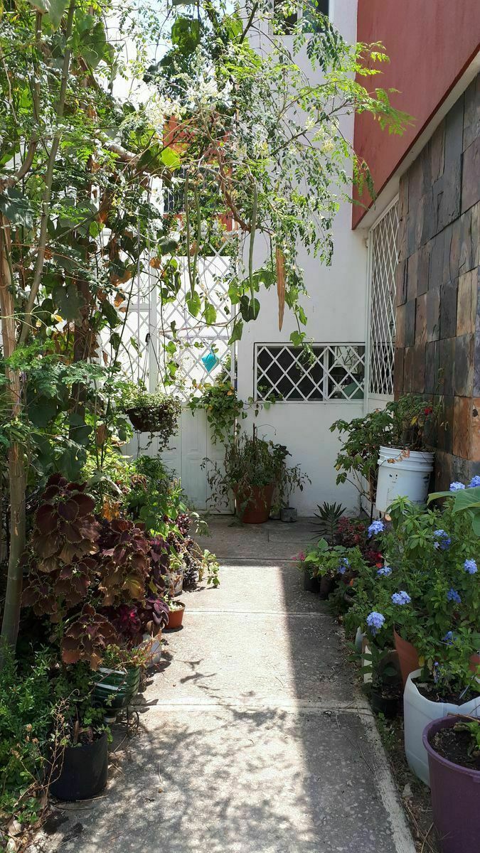 2 de 18: Acceso a patio trasero y cuarto de área de lavado.