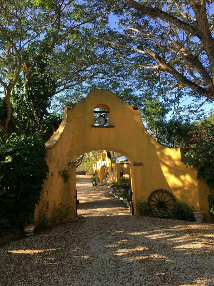 8 de 34