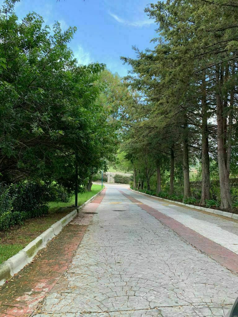 5 de 10
