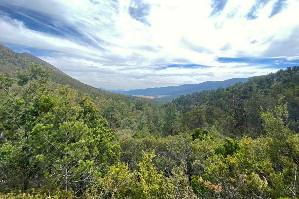 Terreno Campestre en VENTA en Pino Real