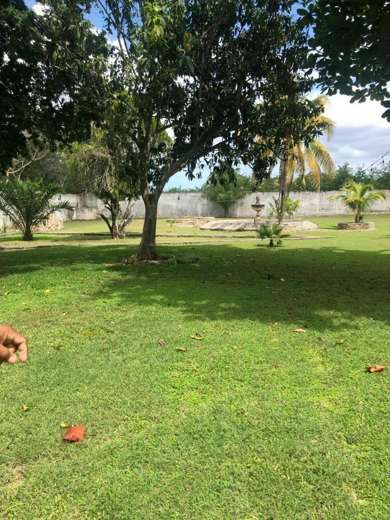 14 de 18