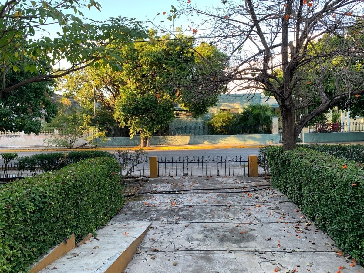 4 de 29