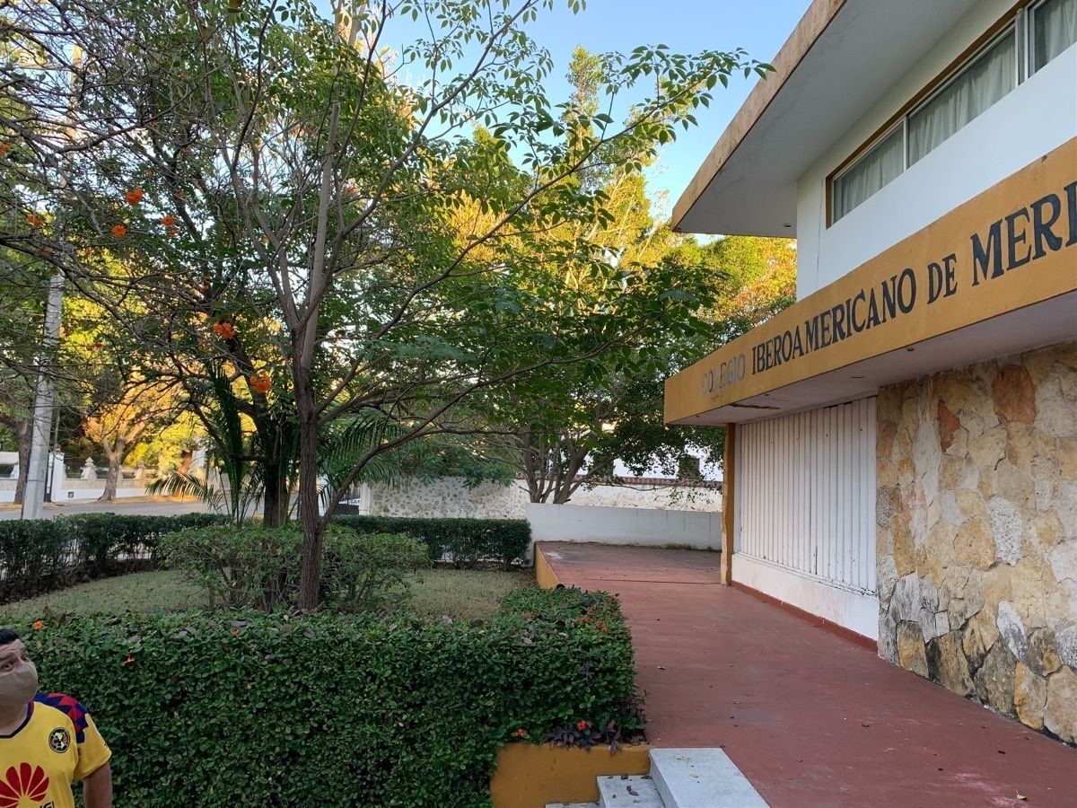 8 de 29