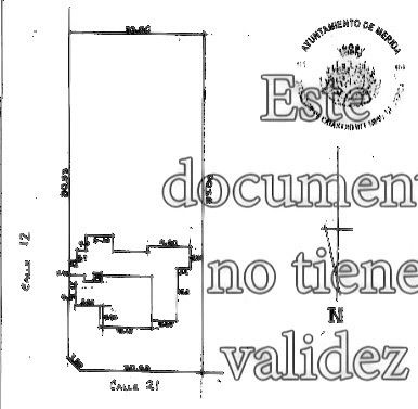 29 de 29