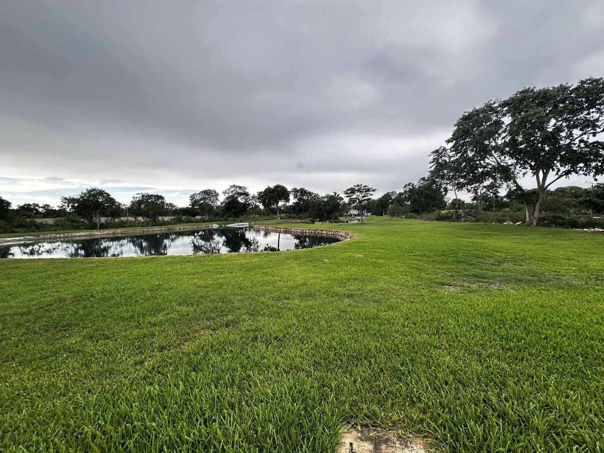 4 of 23: Vista del lago