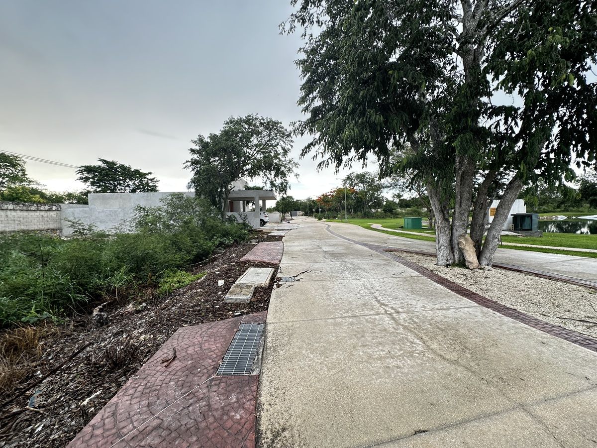 3 of 23: Vista lateral izquierda del lote
