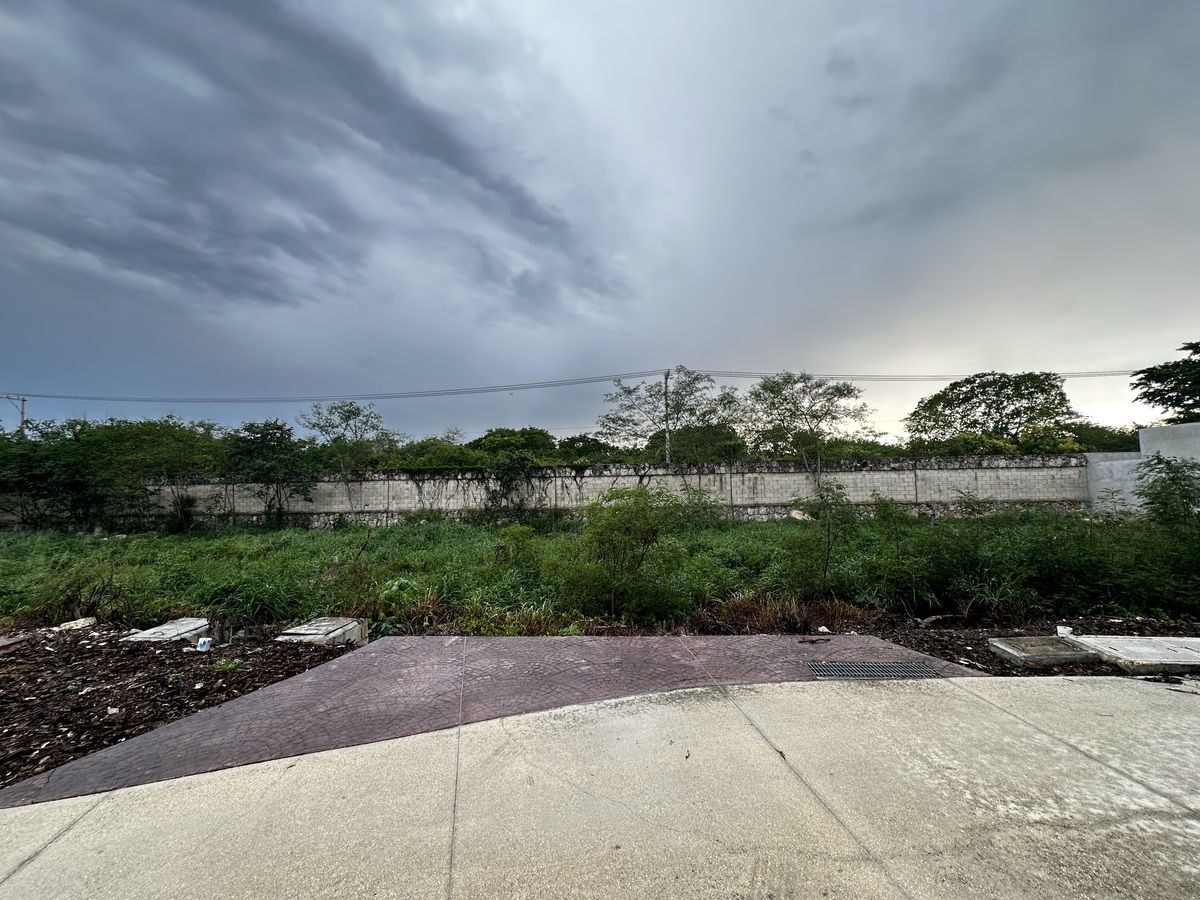 23 of 23: Vista frontal al lote 101