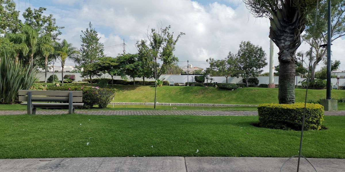 38 de 42: AV PRINCIPAL CON PATOS.  Y AREAS VERDES Y LAGOS