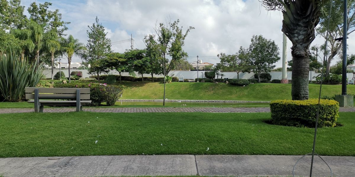 39 de 42: áAV PRINCIPAL CON PATOS.  Y AREAS VERDES Y LAGOS
