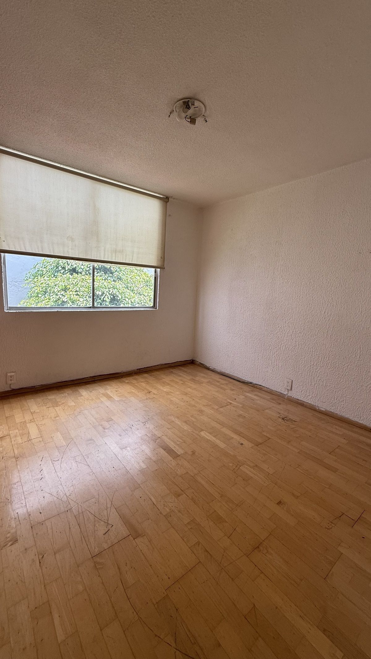 House in Bosque de Echegaray, Naucalpan de Juárez, photo 22 of 30