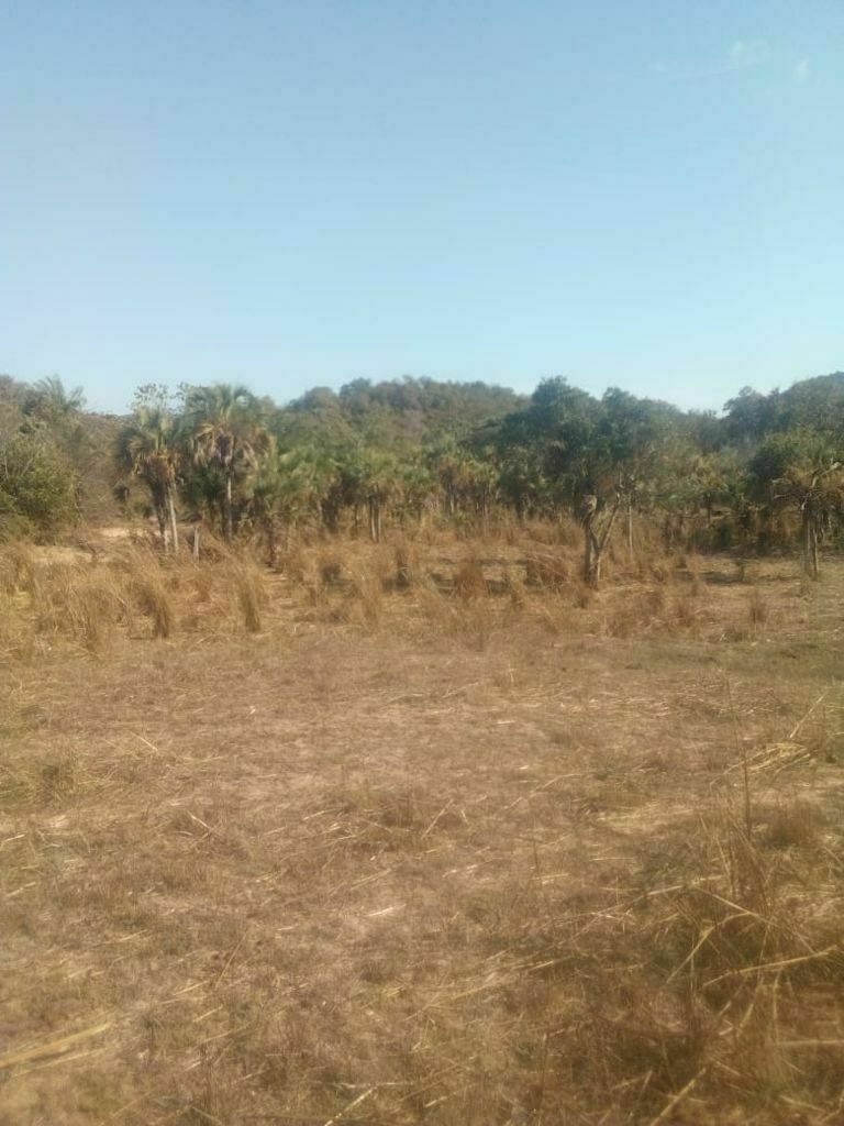 Terreno en venta en Tomatlán