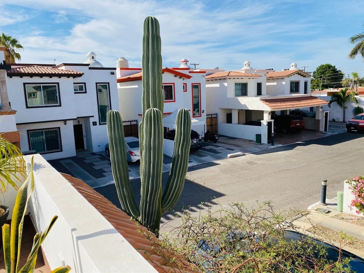 37 de 48: Vista desde la terraza 