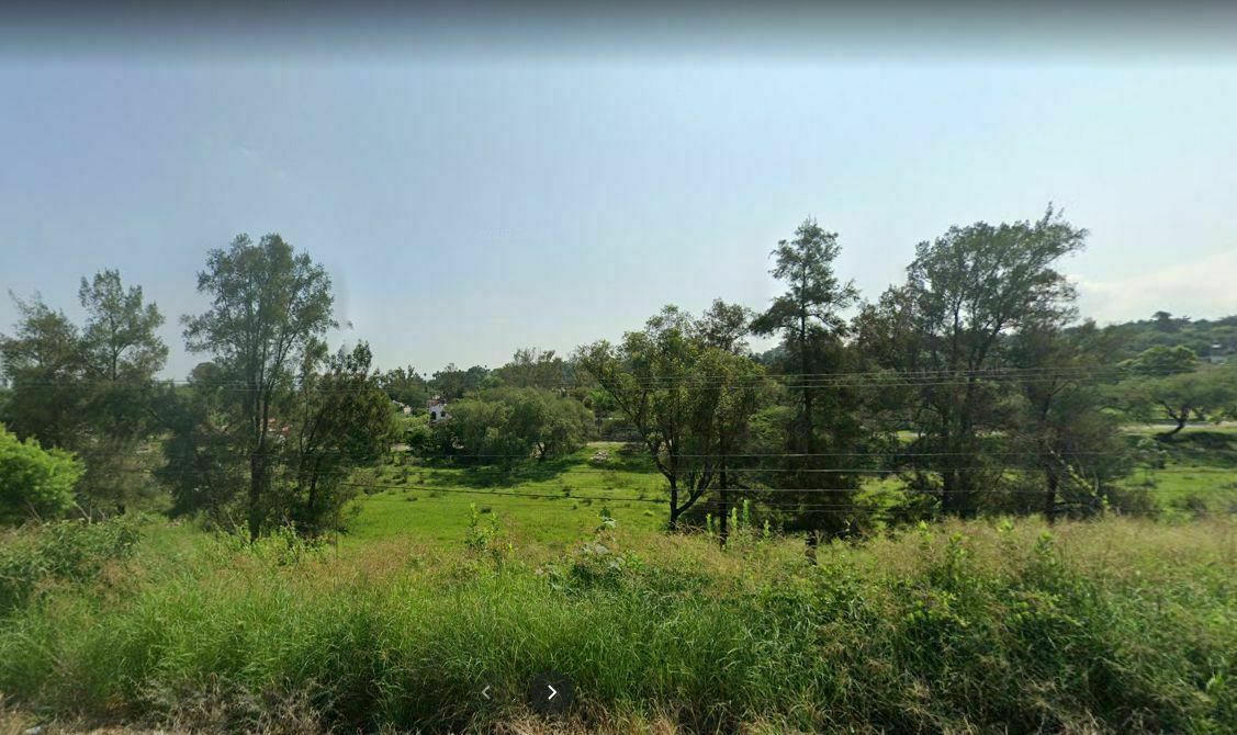 Terreno en Venta en Buenavista, Ixtlahuacán de los Membrillos, Jalisco - foto 4
