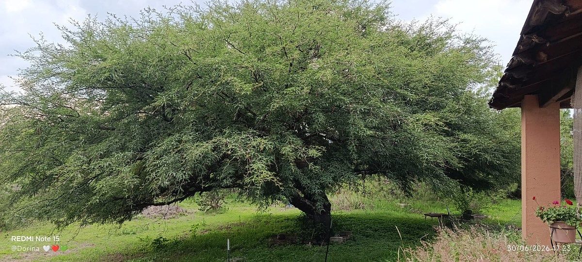 Fazenda em Huimilpan Centro, Huimilpan, foto 16 de 26