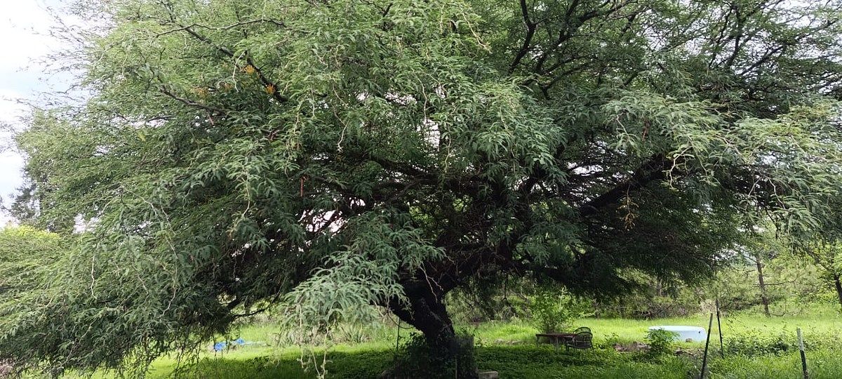 Fazenda em Huimilpan Centro, Huimilpan, foto 24 de 26