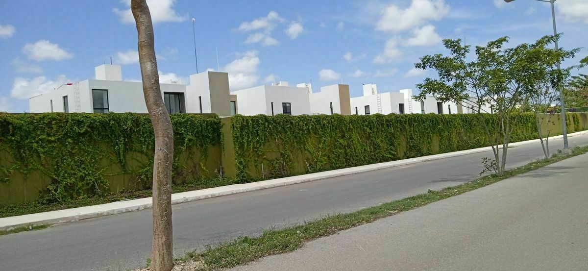 14 de 14