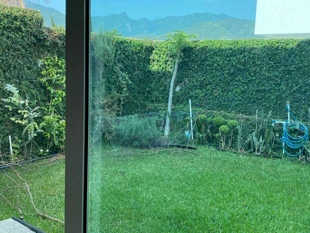 Jardín, foto 7 de 14