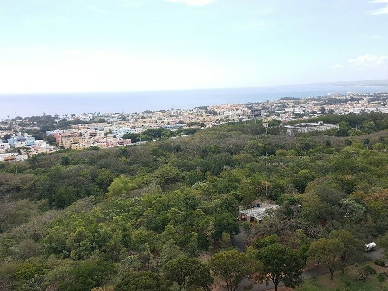 8 de 31