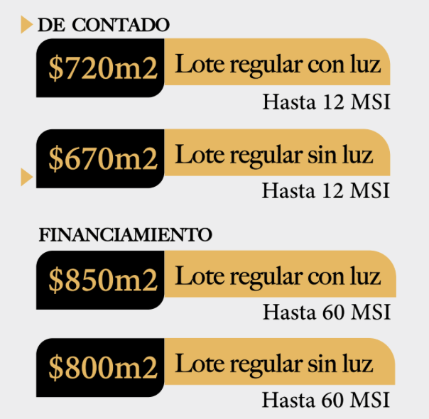 13 de 17