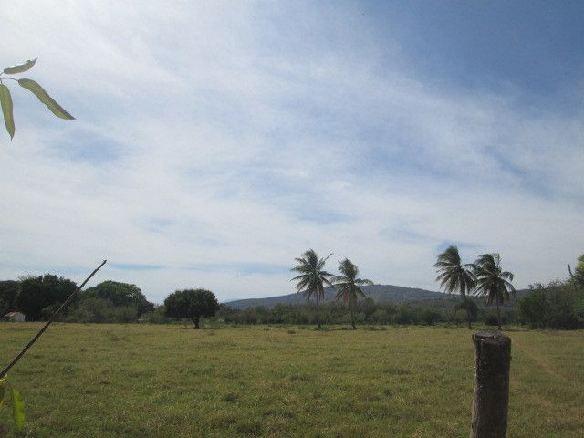 1 de 4
