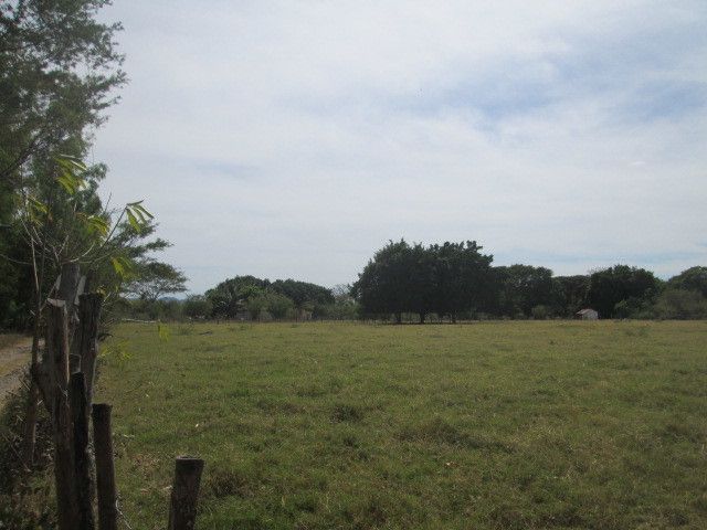3 de 4