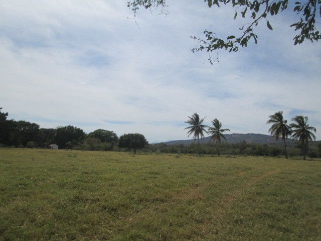 4 de 4
