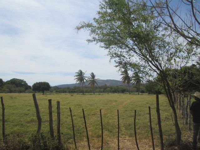 2 de 4