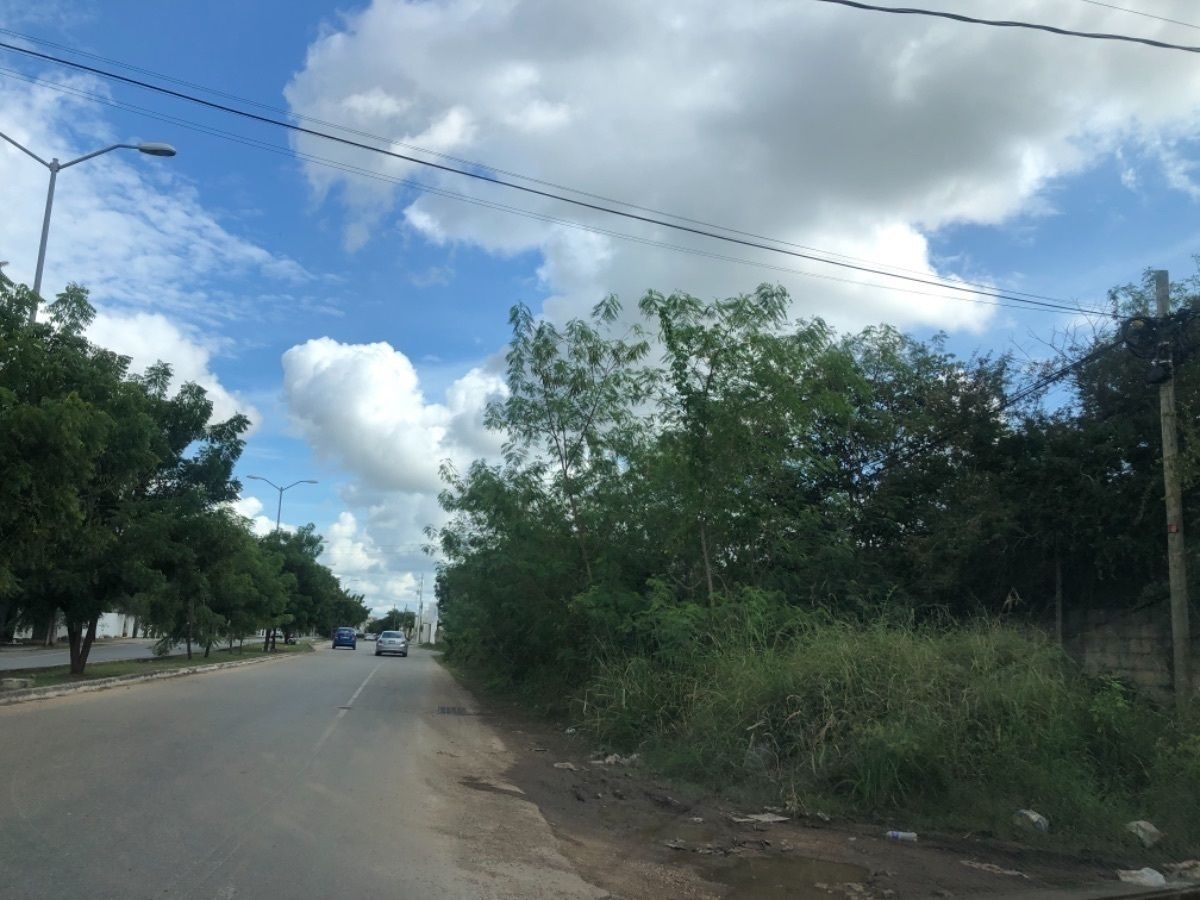 8 de 18