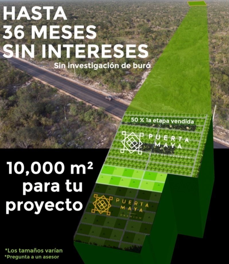 2 de 4