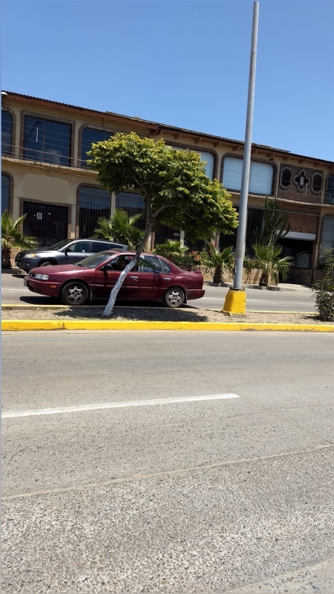 5 de 8